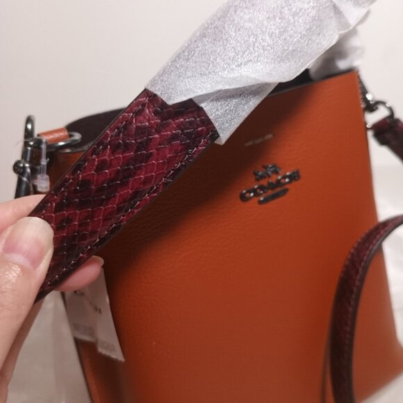 Coach Mollie Bucket Bag 22 in Sunset Multi Python Embossed CB901 - Picture 6 of 8